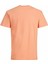 Jack & Jones Jorcopenhagen Tshirt 12176780 6