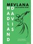 Mevlana Jalaluddin Rumi - F. Hadland Davis 1