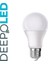 K2 KES300 9W Rgb LED Ampül 1