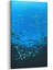 12972DD Deniz / Okyanus Görseli Dikey Dar Kanvas Tablo 1