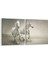 12473K2Y Hayvanlar Alemi Görseli Kare 2'li Yatay Kanvas Tablo 1