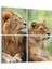 12458K4 Hayvanlar Alemi Görseli Kare 4'lü Kanvas Tablo 1