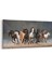 12493YD Hayvanlar Alemi Görseli Yatay Dar Kanvas Tablo 1