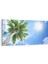 11503YD Palmiye Ağacı Görseli Yatay Dar Kanvas Tablo 1