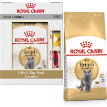 Royal Canin British Shorthair Tavuklu Kedi Maması 2 kg