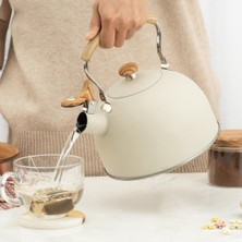 2.5l Islık Su Isıtıcısı Çaydanlık Kaynar Su Seyahat Çaydanlık Için Ev