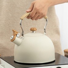2.5l Islık Su Isıtıcısı Çaydanlık Kaynar Su Seyahat Çaydanlık Için Ev