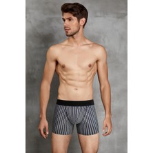 Doreanse 1866 Erkek Modal Çizgi Desenli Normal Paça Boxer