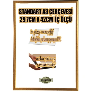 MİXEFOR A3 Çerçeve-Renk ALTIN Arka Yüzey 3mm Mdf-Ön yüzey  Kırılmaz  parlama yapmayan Antireflektif