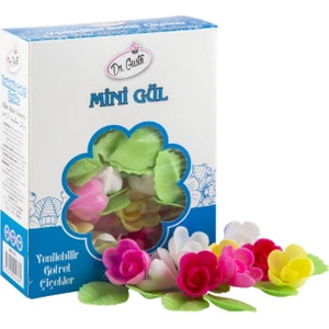 Dr. Gusto  Yenilebilir Renkli Mini Gül