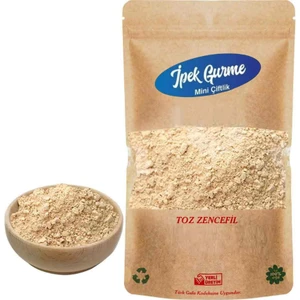İpek Gurme Toz Zencefil 250 gr
