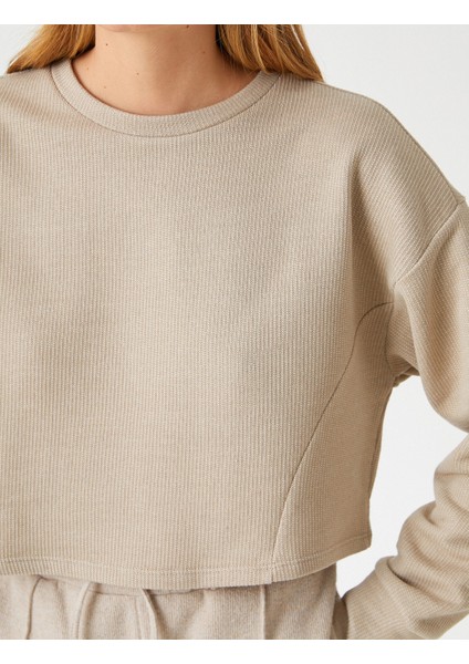 Bisiklet Yaka Uzun Kollu Sweatshirt indirimleri