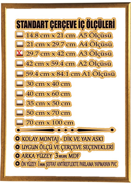 MİXEFOR A3 Çerçeve-Renk ALTIN Arka Yüzey 3mm Mdf-Ön yüzey Kırılmaz parlama yapmayan Antireflektif