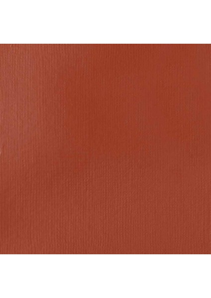 : Professional Heavy Body : Akrilik Boya : 59 ml : Red Oxide 335 S1 fiyatları