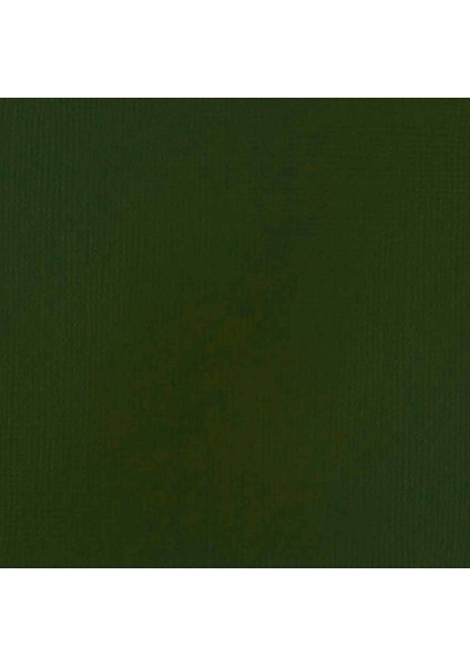 : Professional Heavy Body : Akrilik Boya : 59 ml : Sap Green Permanent 315 S2 fiyatları