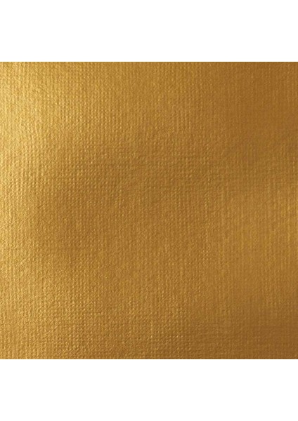 : Professional Heavy Body : Akrilik Boya : 59 ml : Iridescent Rich Gold 235 S2 fiyatları