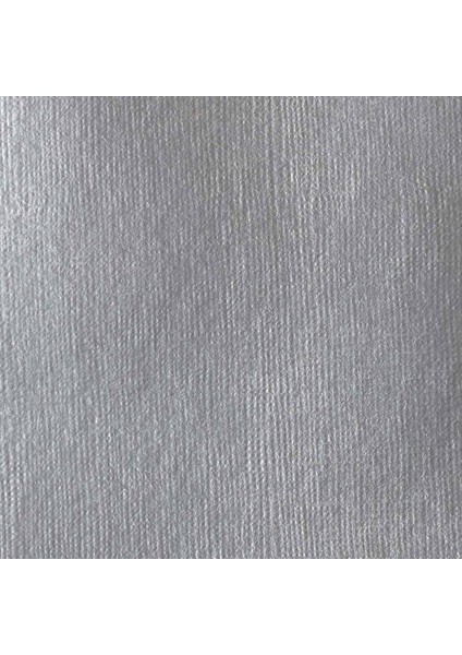 : Professional Heavy Body : Akrilik Boya : 59 ml : Iridescent Rich Silver 239 S2 fiyatları