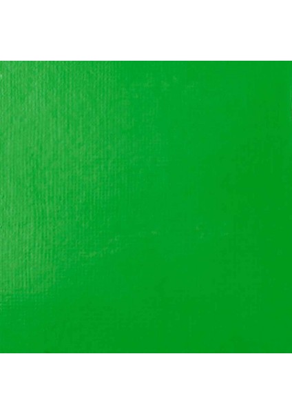 : Professional Heavy Body : Akrilik Boya : 59 ml : Light Emerald Green 650 S3 fiyatları