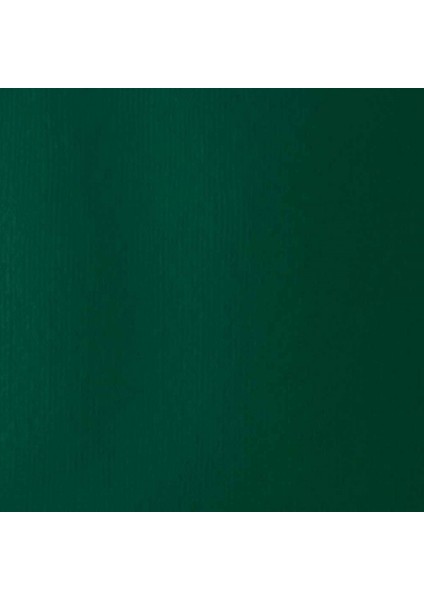 : Professional Heavy Body : Akrilik Boya : 59 ml : Muted Green 501 S3 fiyatları