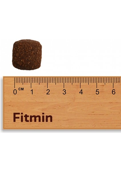 For Life %22,5 Taze Tavuk Etli Büyük Irk Köpek Maması 3 kg fiyatları