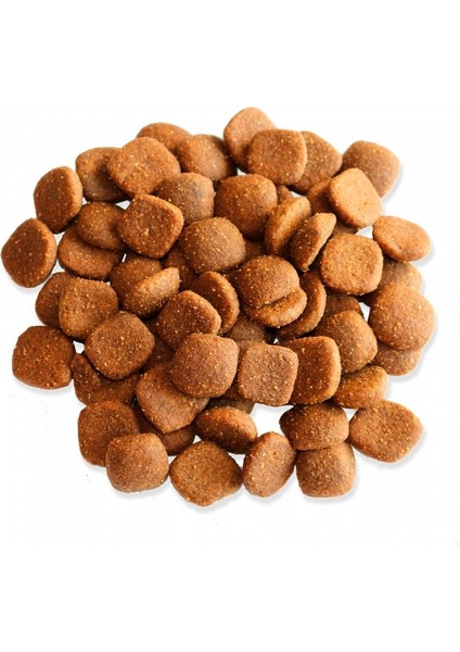 For Life %22,5 Taze Tavuk Etli Büyük Irk Köpek Maması 3 kg modelleri