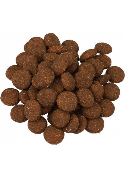 For Life %13 Taze Biftek Etli Yetişkin Köpek Maması 2,5 kg