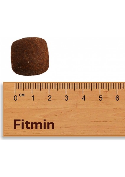 For Life %20 Taze Tavuk Etli Büyük Irk Yetişkin Köpek Maması 3 kg fiyatları