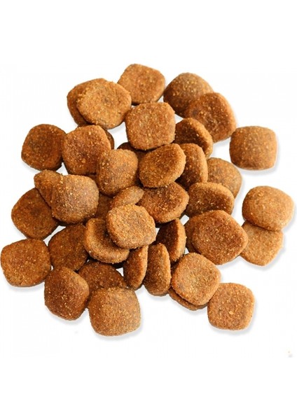For Life %20 Taze Tavuk Etli Büyük Irk Yetişkin Köpek Maması 3 kg modelleri
