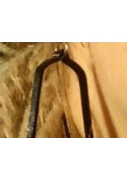 Çan Küpeler Plastik Aparat fiyatları