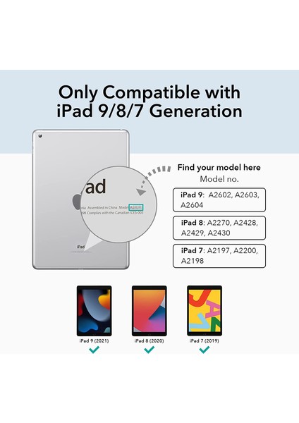 Apple iPad 9. Nesil 10.2" Kılıf Kalem Bölmeli Şeffaf Case A2602 A2603 A2604 A2605 Lacivert