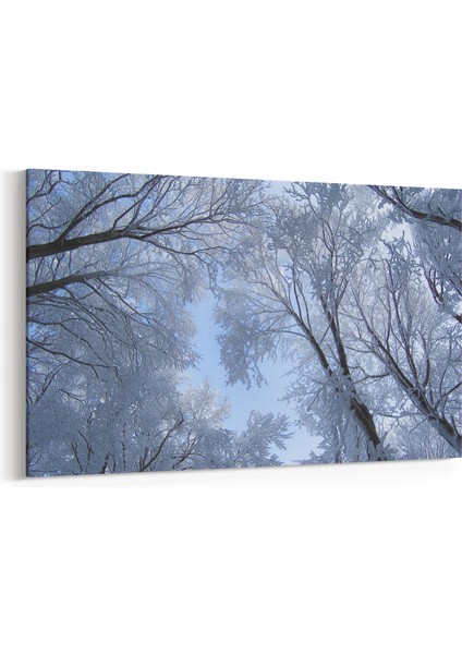 10505Y Ağaç Görseli Yatay Kanvas Tablo