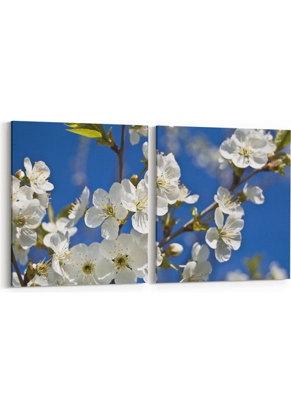 10477K2Y Ağaç Görseli Kare 2'li Yatay Kanvas Tablo