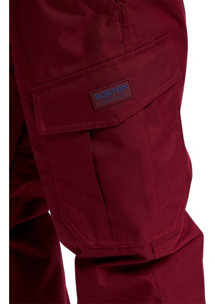 Cargo Regular Erkek Snowboard Kar Pantolonu 13166107500