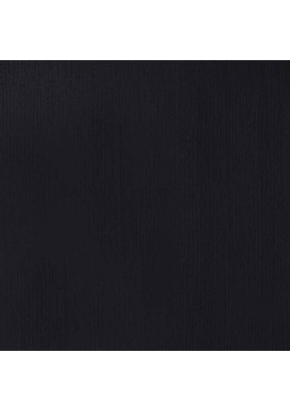 Professional Heavy Body Akrilik Boya 59 ml Fildişi Siyah 244 S1 fiyatları