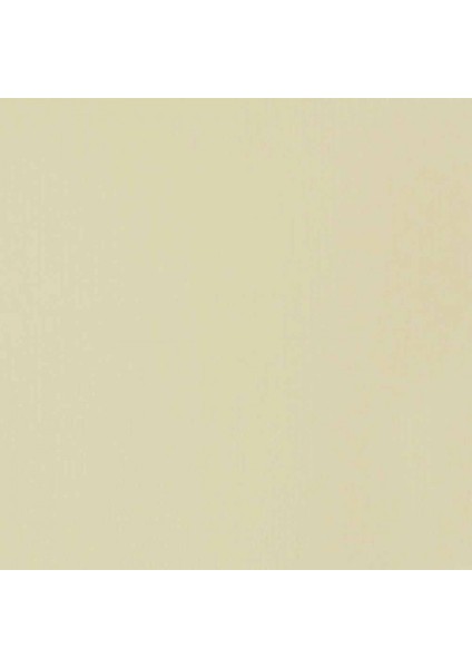 Professional Heavy Body Akrilik Boya 59 ml Parşömen 436 S1 fiyatları