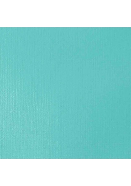 Professional Heavy Body Akrilik Boya 59 ml Açık Mavi Kalıcı 770 S1 fiyatları