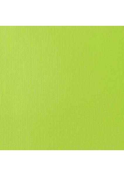 Professional Heavy Body Akrilik Boya 59 ml Brilliant Yellow Green 840 S1 fiyatları