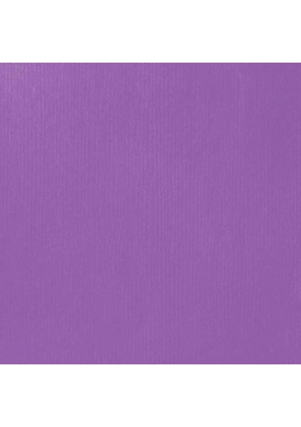 Professional Heavy Body Akrilik Boya 59 ml Brilliant Purple 590 S1 fiyatları