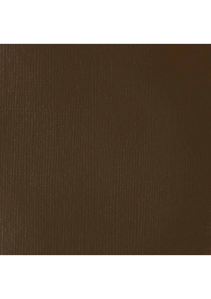 Professional Heavy Body Akrilik Boya 59 ml Şeffaf Raw Umber 333 S2 fiyatları