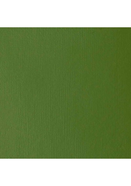 Professional Heavy Body Akrilik Boya 59 ml Chromium Oxide Green 166 S2