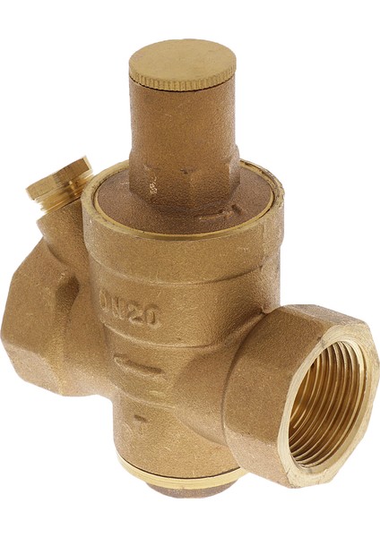 DN20 Npt 3/4 '' Ayarlanabilir Su Basınç Regülatörü Düşürücü Vanayı Koruyun