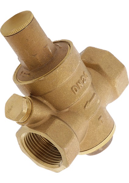 DN20 Npt 3/4 '' Ayarlanabilir Su Basınç Regülatörü Düşürücü Vanayı Koruyun