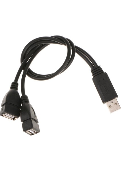 2 Adet USB 2.0 A Erkek 2 Çift USB Kadın Şarj Kablosu Kablosu Adaptörü(Yurt Dışından)