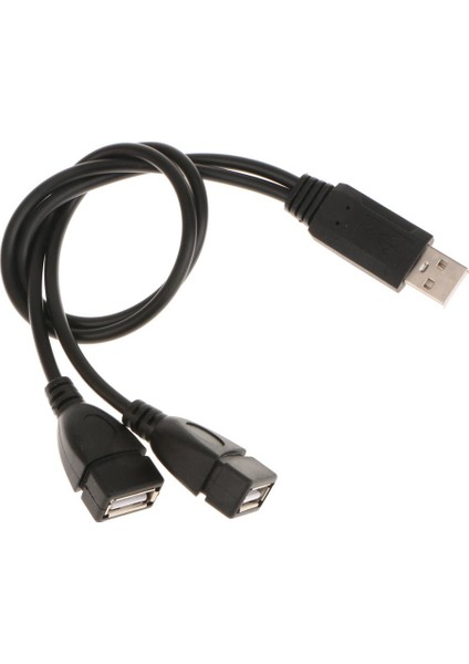 2 Adet USB 2.0 A Erkek 2 Çift USB Kadın Şarj Kablosu Kablosu Adaptörü(Yurt Dışından)