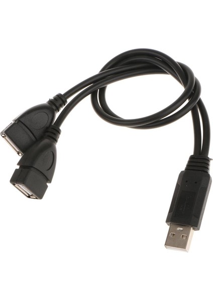 2 Adet USB 2.0 A Erkek 2 Çift USB Kadın Şarj Kablosu Kablosu Adaptörü(Yurt Dışından)