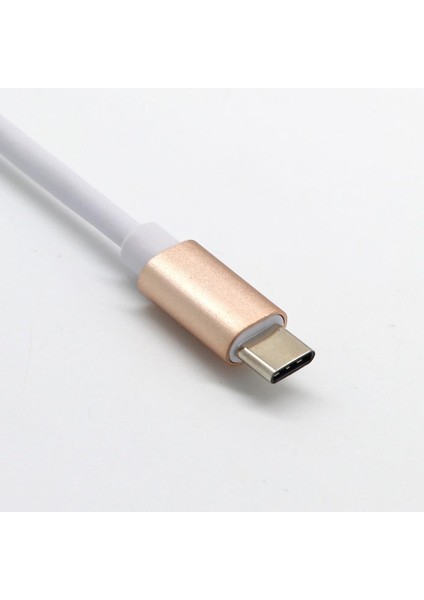 Tip C USB 3.1 Usb-C 4K HDMI Usb3.0 Adaptörü MacBook Altın Için 1 Hub