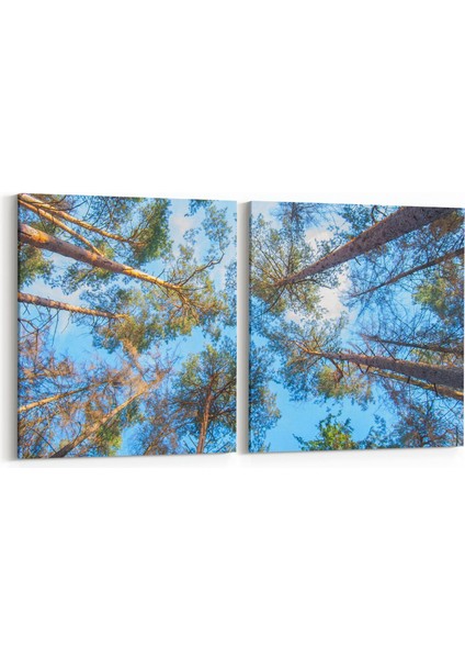 10642K2Y Ağaç Görseli Kare 2'li Yatay Kanvas Tablo