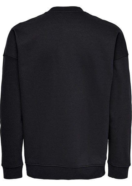 Erkek Sweatshirt Crewneck Sweat 22021689 fiyatları