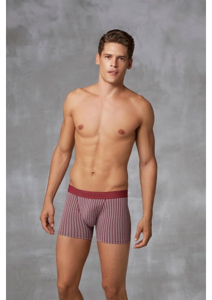 1866 Erkek Modal Çizgi Desenli Normal Paça Boxer modelleri