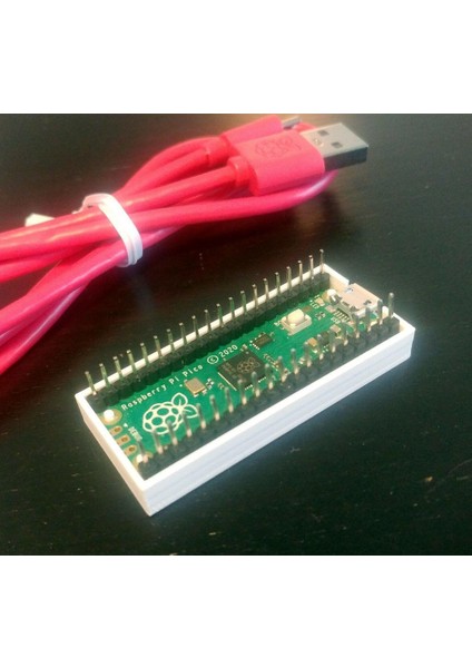 Raspberry Pico Tabanı Plastik Aparat